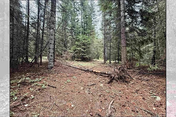 Property Photo MLS #: 202524477
