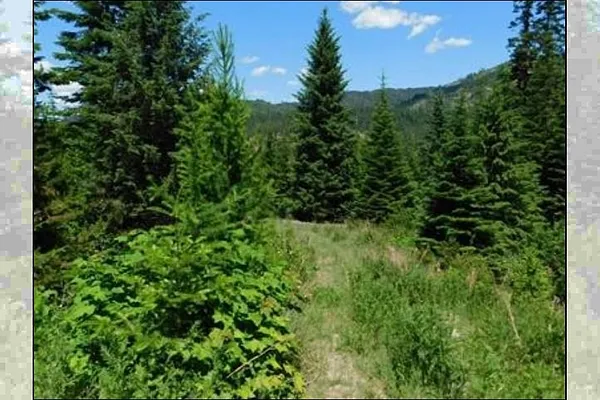 Property Photo MLS #: 202516480
