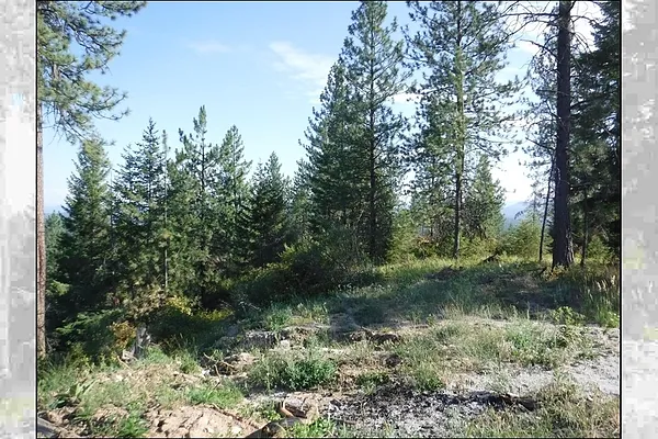 Property Photo MLS #: 202521480