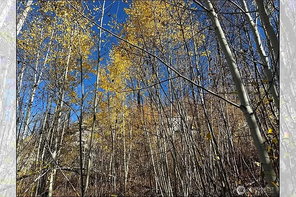Property Photo MLS #: 2426489