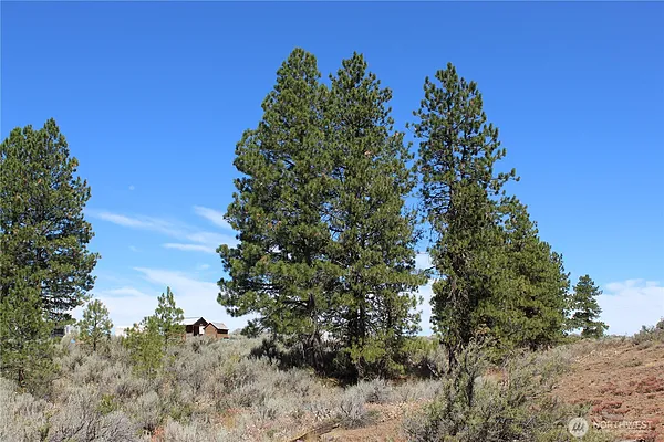 Property Photo MLS #: 2413501
