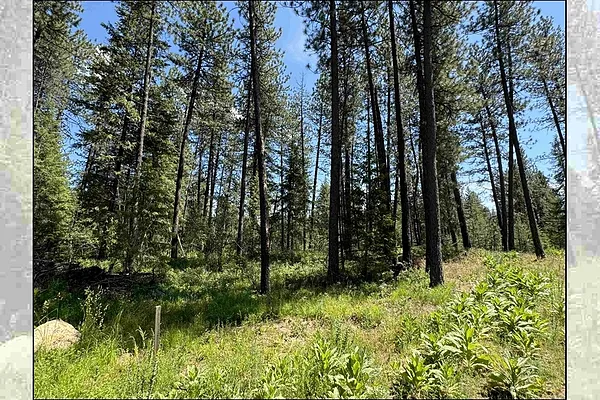 Property Photo MLS #: 202514512