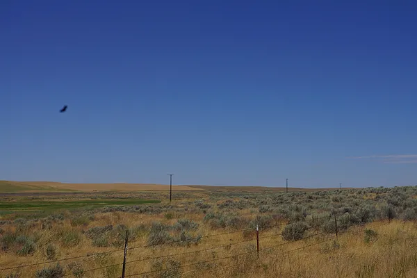 Property Photo MLS #: 202520515