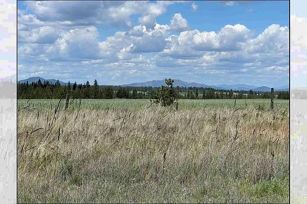 Property Photo MLS #: 202517518