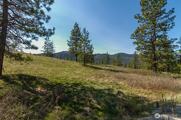 Property Photo MLS #: 2405518