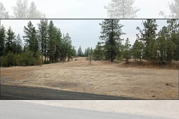 Property Photo MLS #: 202410528