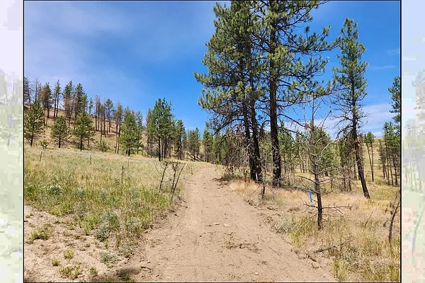 Property Photo MLS #: 202517537