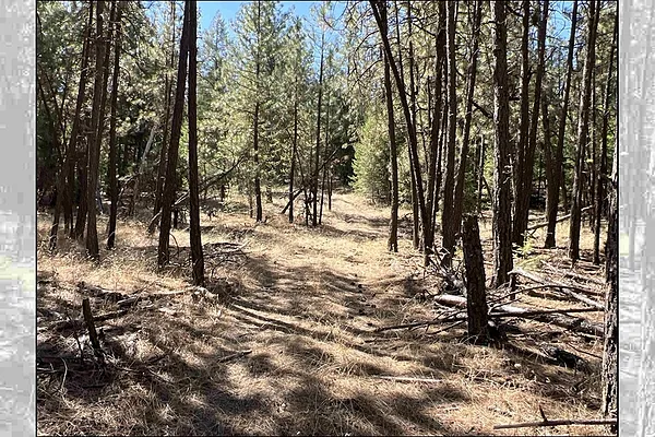 Property Photo MLS #: 202523539