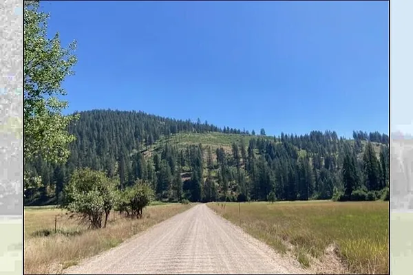 Property Photo MLS #: 202520542