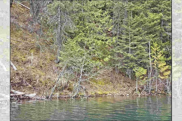 Property Photo MLS #: 202518543