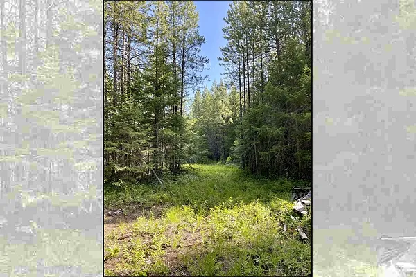 Property Photo MLS #: 202519551