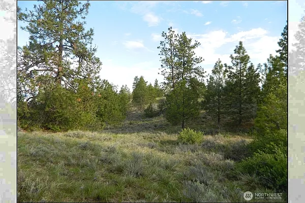 Property Photo MLS #: 2374555