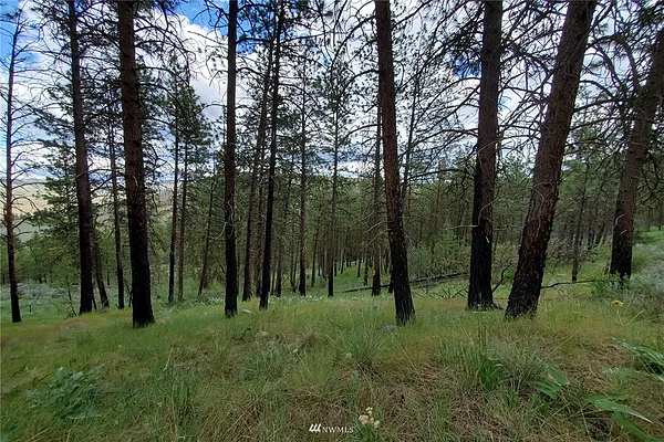 Property Photo MLS #: 1910568