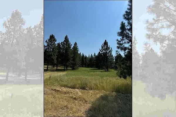 Property Photo MLS #: 202519588