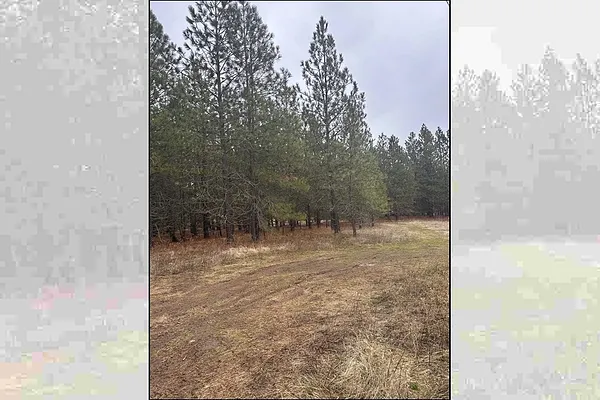 Property Photo MLS #: 202519595