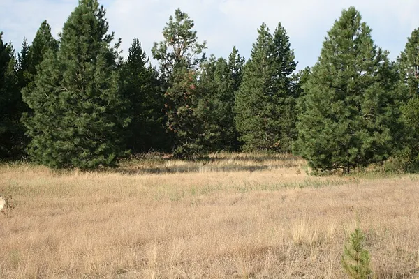 Property Photo MLS #: 202511601