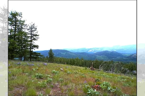 Property Photo MLS #: 202513601