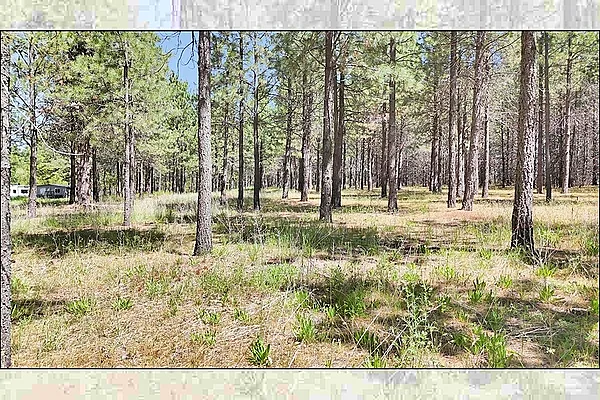 Property Photo MLS #: 202517606