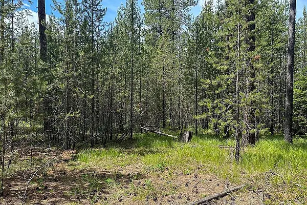 Property Photo MLS #: 202519608