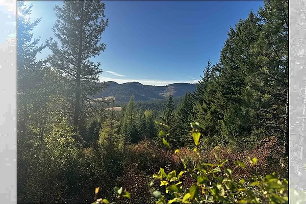 Property Photo MLS #: 202513613