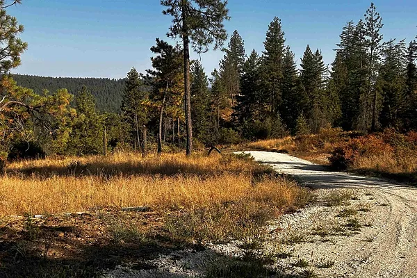 Property Photo MLS #: 202421617