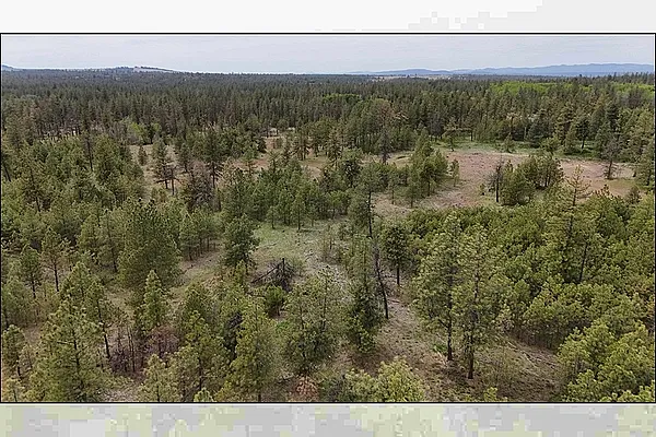Property Photo MLS #: 202516621