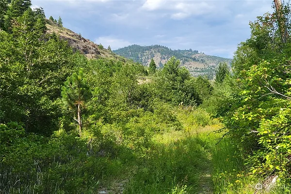 Property Photo MLS #: 2138621