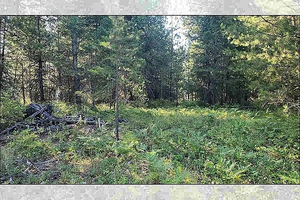 Property Photo MLS #: 202522624