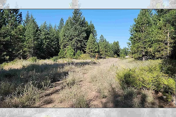 Property Photo MLS #: 202522625