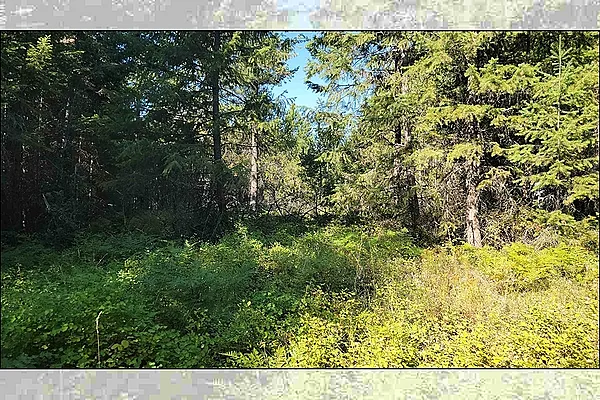 Property Photo MLS #: 202522627