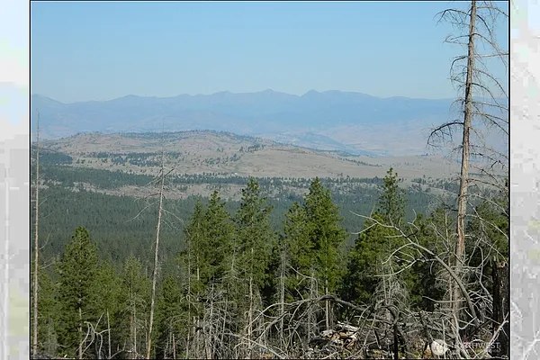 Property Photo MLS #: 2410629
