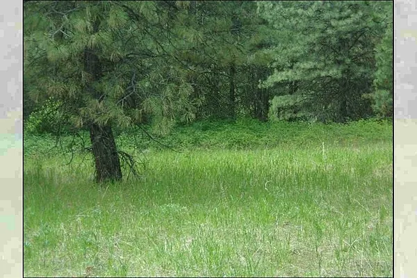 Property Photo MLS #: 202519632