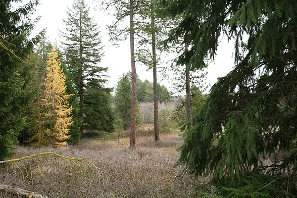 Property Photo MLS #: 202324641