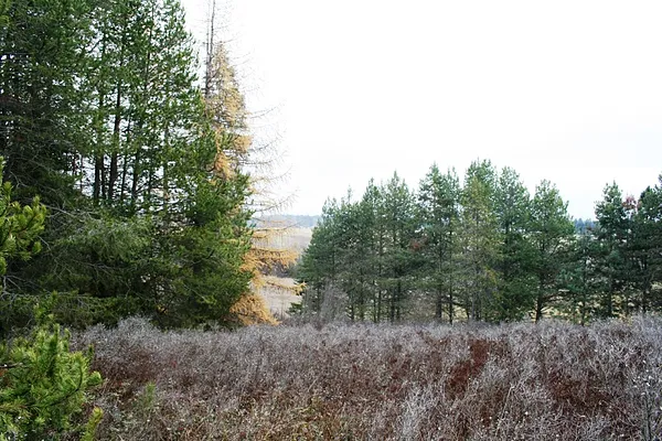 Property Photo MLS #: 202324643