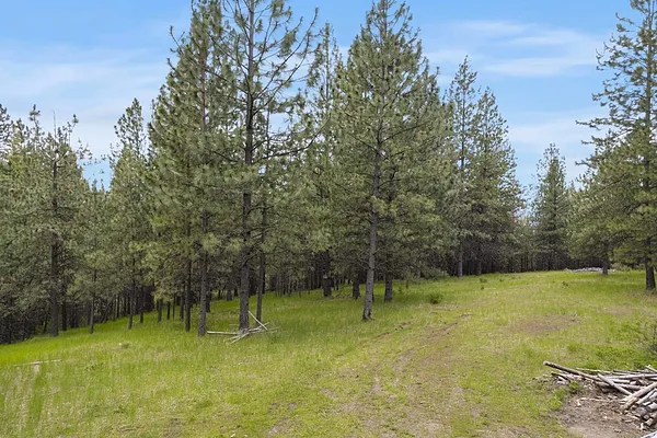 Property Photo MLS #: 202413647