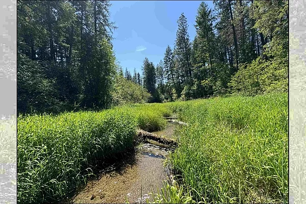 Property Photo MLS #: 202514647