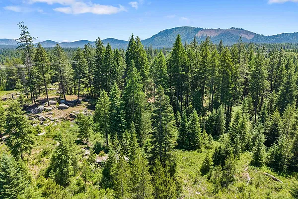 Property Photo MLS #: 202518651