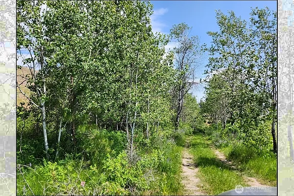 Property Photo MLS #: 2395659