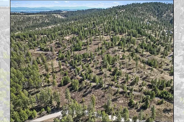 Property Photo MLS #: 202521666