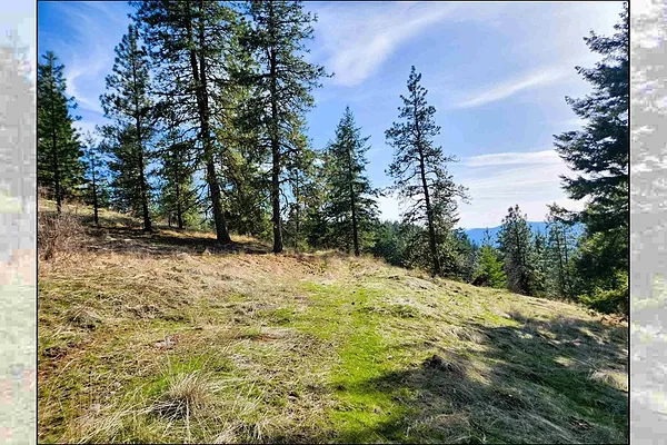 Property Photo MLS #: 202514667
