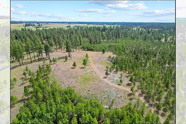 Property Photo MLS #: 202518673