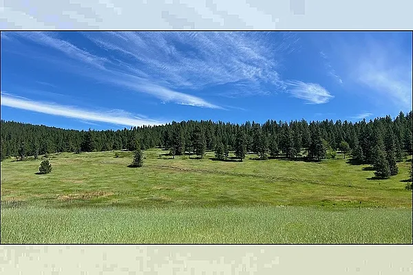 Property Photo MLS #: 202522675