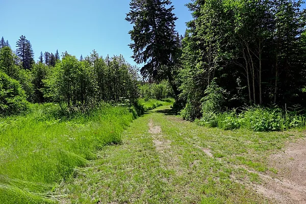 Property Photo MLS #: 202417676