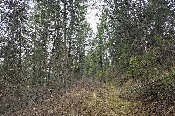 Property Photo MLS #: 202413698
