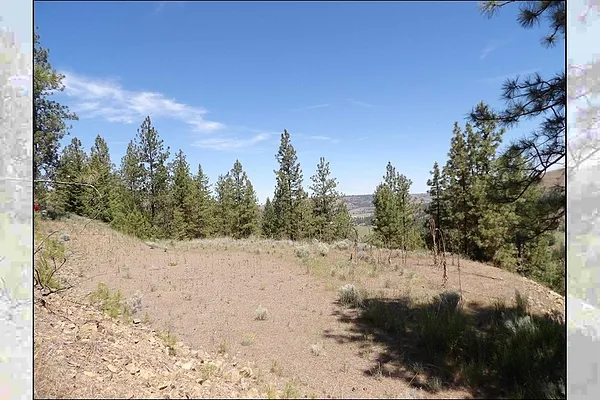 Property Photo MLS #: 202520702