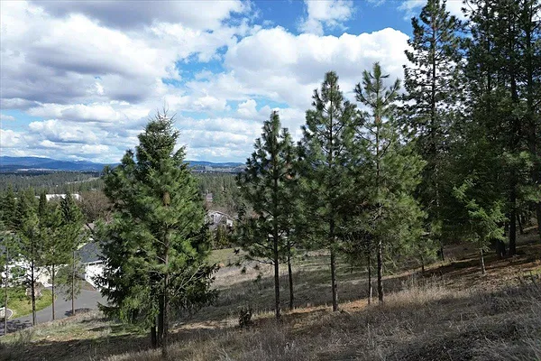Property Photo MLS #: 202524702