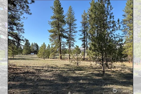 Property Photo MLS #: 2346704