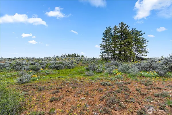 Property Photo MLS #: 2384704