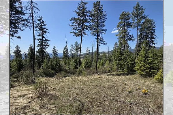Property Photo MLS #: 202515708
