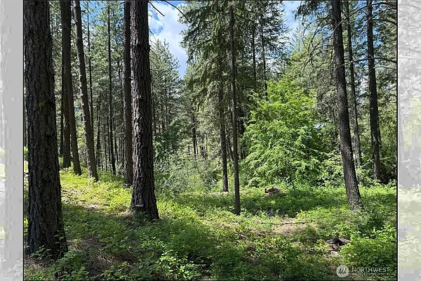 Property Photo MLS #: 2360718